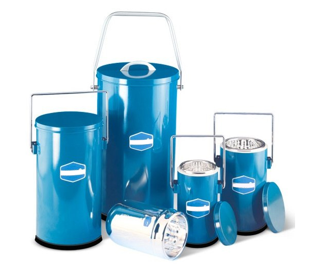 Cryogenic dewar flask