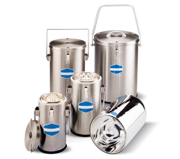 Cryogenic dewar flask